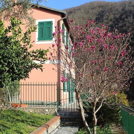 Casa Laura Vila Zoagli Exterior foto